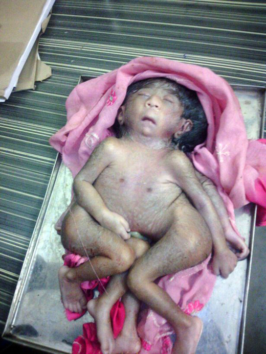 Baby Ganesh 